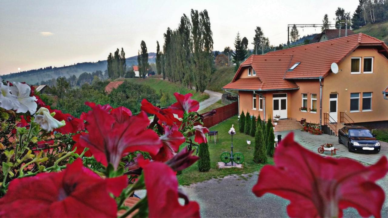 Bed and Breakfast Picnic Panzio à Lunca de Sus Extérieur photo